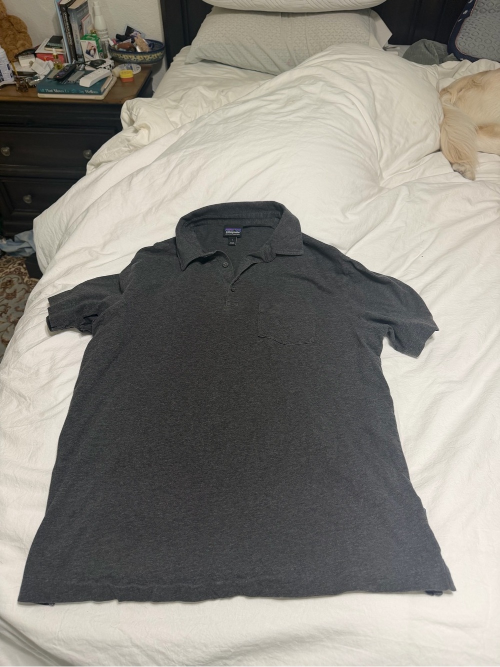 Patagonia Charcoal Gray Polo Shirt with Chest Pocket